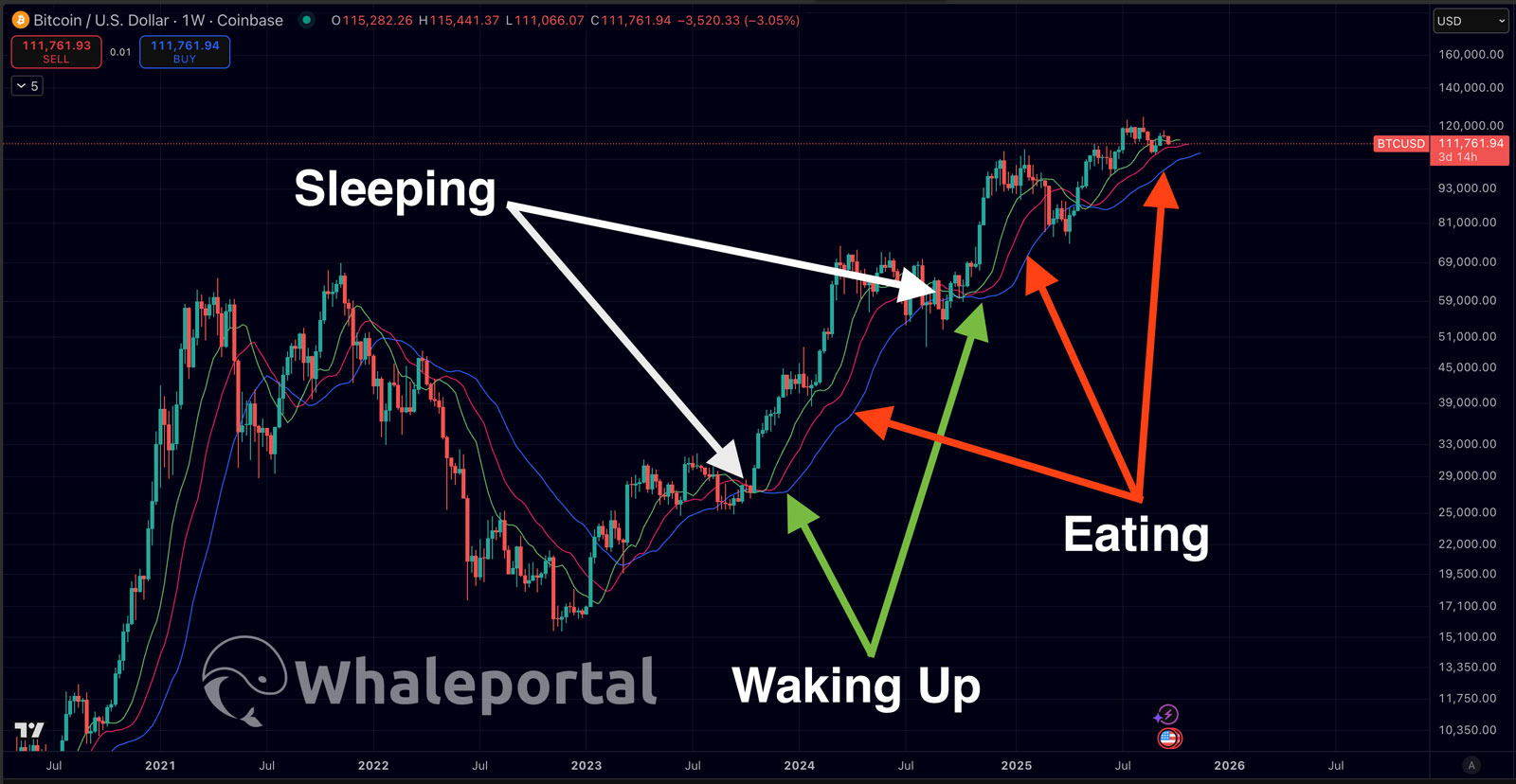 Williams Alligator Lines Explained