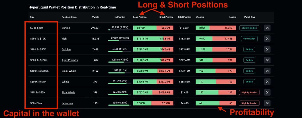 Hyperliquid Wallet Position Distribution in Real-time